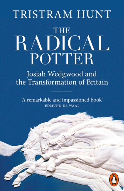 The Radical Potter : Josiah Wedgwood and the Transformation of Britain, Paperback / softback Book