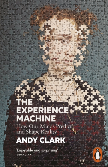 The Experience Machine : How Our Minds Predict and Shape Reality, Paperback / softback Book