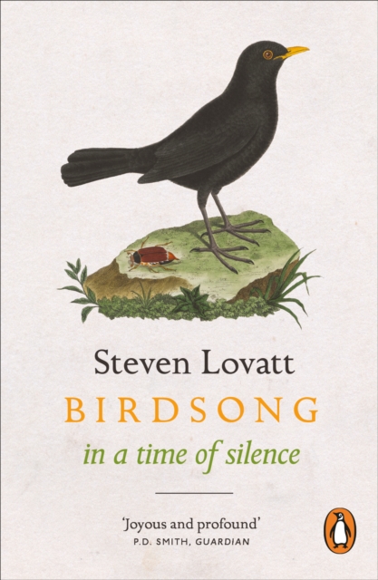 Birdsong in a Time of Silence, Paperback / softback Book