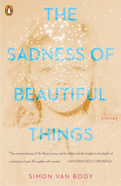 The Sadness Of Beautiful Things : Stories, Paperback / softback Book