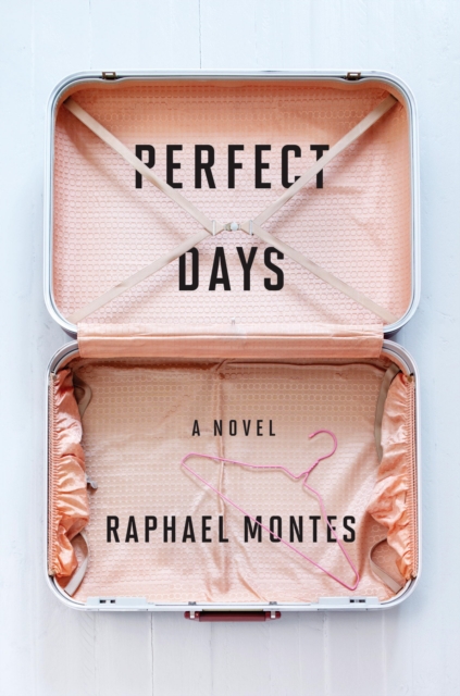 Perfect Days, EPUB eBook