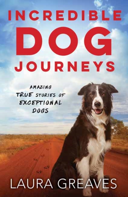 Incredible Dog Journeys : Amazing true stories of exceptional dogs, Hardback Book