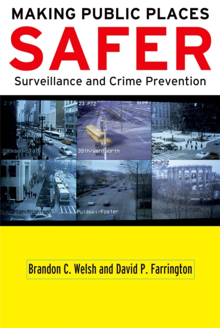 Making Public Places Safer : Surveillance and Crime Prevention, EPUB eBook