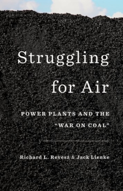 Struggling for Air : Power Plants and the "War on Coal", Hardback Book