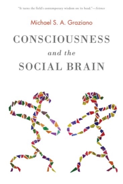 Consciousness and the Social Brain, Paperback / softback Book