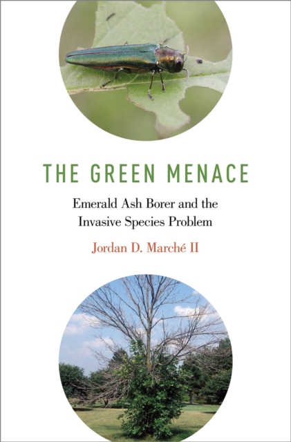 The Green Menace : Emerald Ash Borer and the Invasive Species Problem, PDF eBook