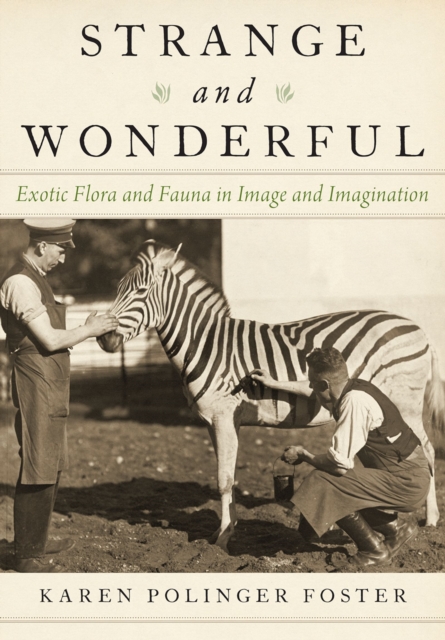 Strange and Wonderful : Exotic Flora and Fauna in Image and Imagination, EPUB eBook
