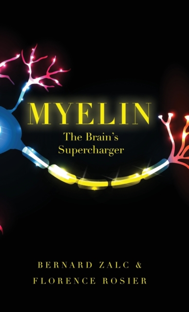 Myelin : The Brain's Supercharger, Hardback Book