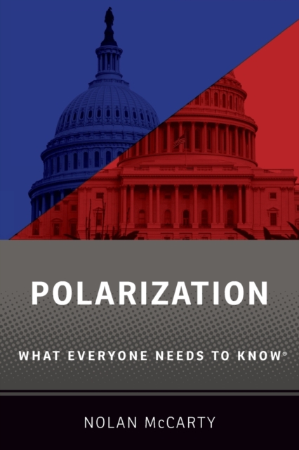 Polarization : What Everyone Needs to Know®, Paperback / softback Book