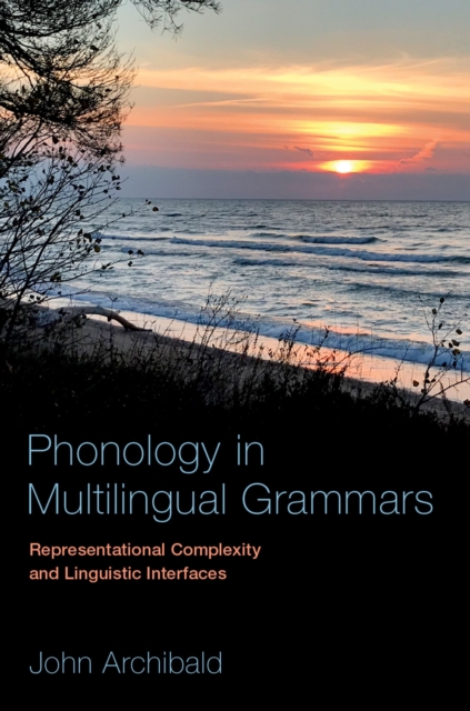 Phonology in Multilingual Grammars : Representational Complexity and Linguistic Interfaces, EPUB eBook