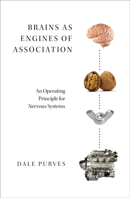 Brains as Engines of Association : An Operating Principle for Nervous Systems, PDF eBook