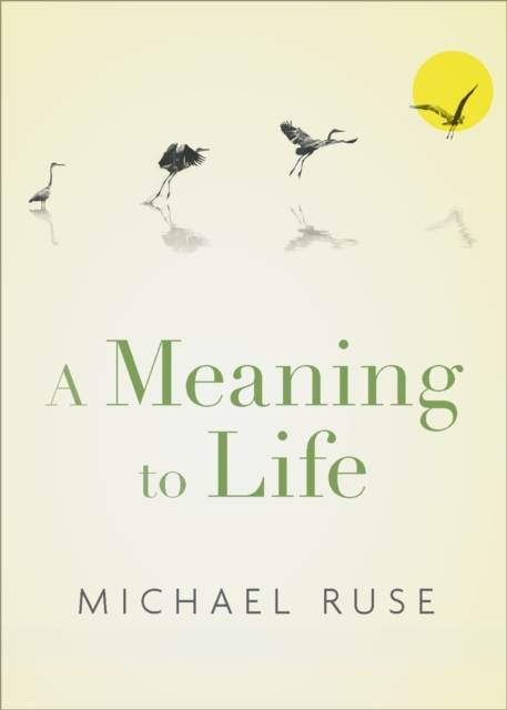 A Meaning to Life, EPUB eBook