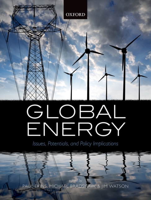 Global Energy : Issues, Potentials, and Policy Implications, PDF eBook