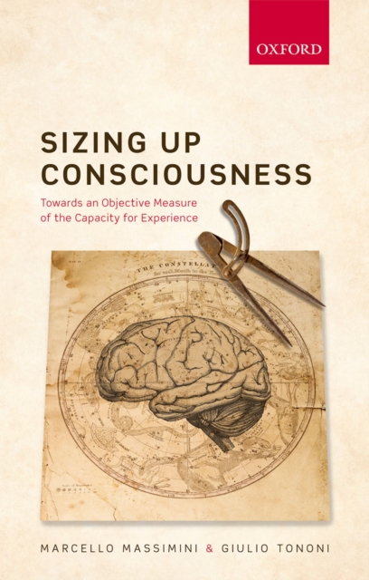 Sizing up Consciousness : Towards an objective measure of the capacity for experience, PDF eBook