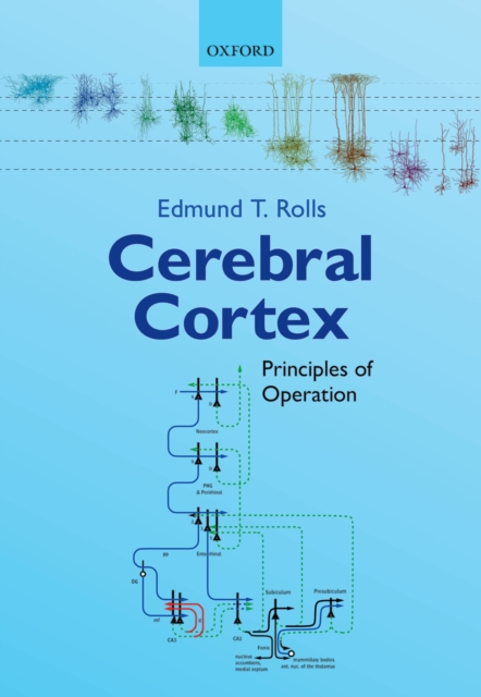 Cerebral Cortex : Principles of Operation, EPUB eBook