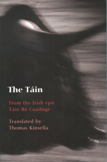 The T?in : From the Irish epic Tain Bo Cuailnge, EPUB eBook