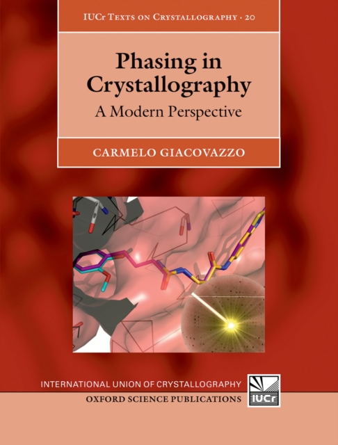 Phasing in Crystallography : A Modern Perspective, PDF eBook