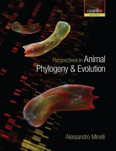 Perspectives in Animal Phylogeny and Evolution, PDF eBook