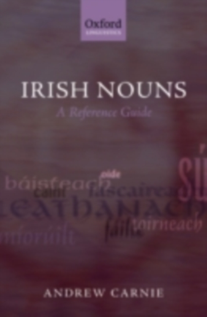 Irish Nouns : A Reference Guide, PDF eBook