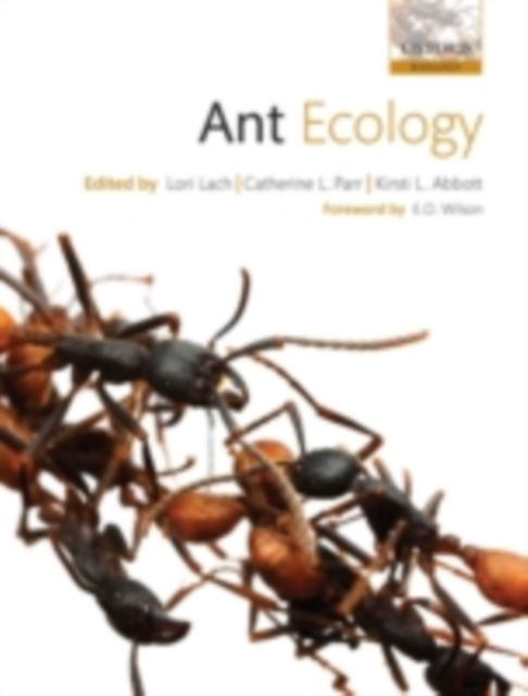 Ant Ecology, PDF eBook