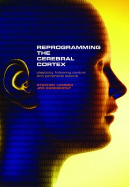 Reprogramming the Cerebral Cortex : Plasticity following central and peripheral lesions, PDF eBook