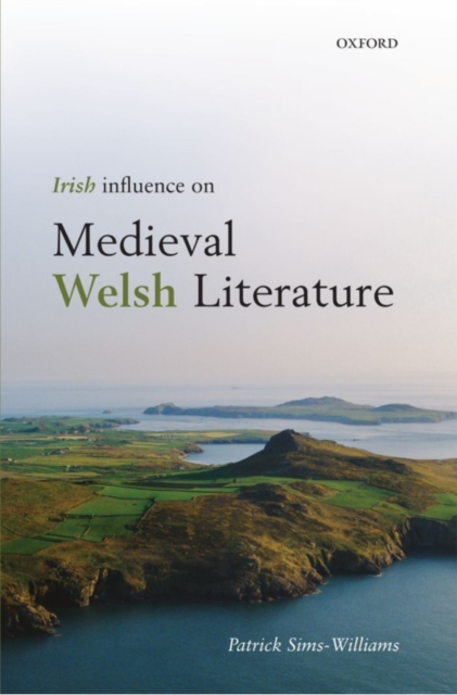 Irish Influence on Medieval Welsh Literature, PDF eBook