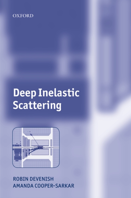 Deep Inelastic Scattering, EPUB eBook