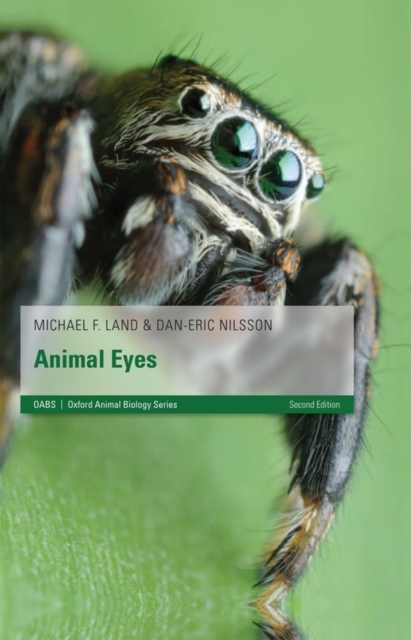 Animal Eyes, PDF eBook