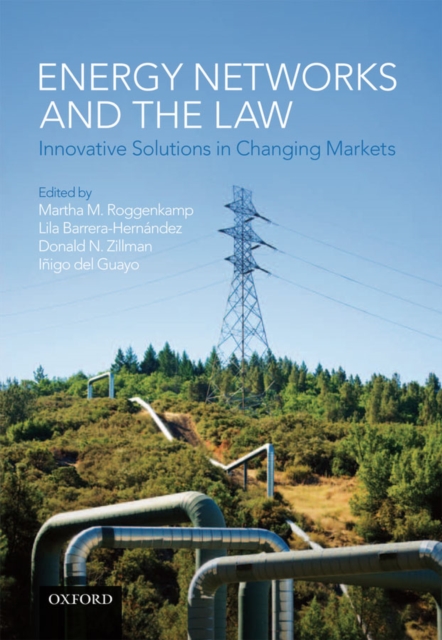 Energy Networks and the Law : Innovative Solutions in Changing Markets, EPUB eBook