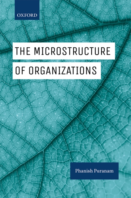 The Microstructure of Organizations, PDF eBook