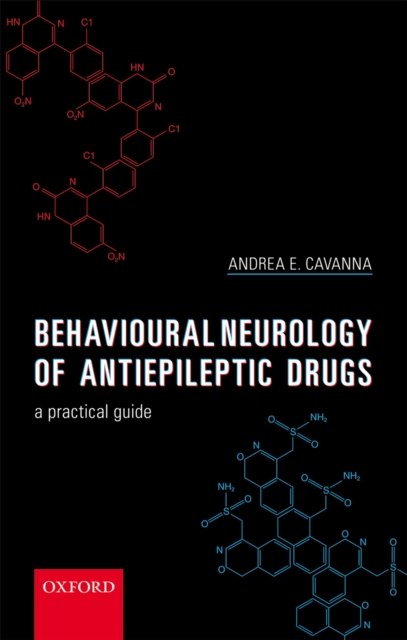 Behavioural Neurology of Anti-epileptic Drugs : A Practical Guide, EPUB eBook