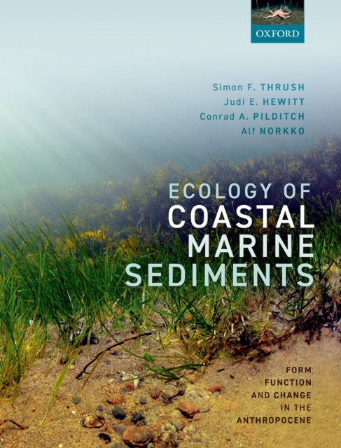 Ecology of Coastal Marine Sediments : Form, Function, and Change in the Anthropocene, PDF eBook