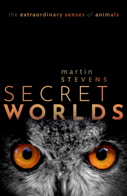 Secret Worlds : The extraordinary senses of animals, PDF eBook