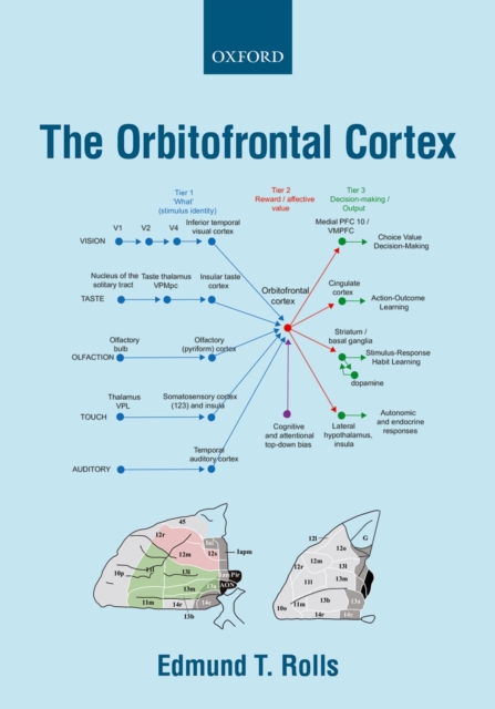 The Orbitofrontal Cortex, EPUB eBook