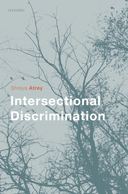 Intersectional Discrimination, EPUB eBook
