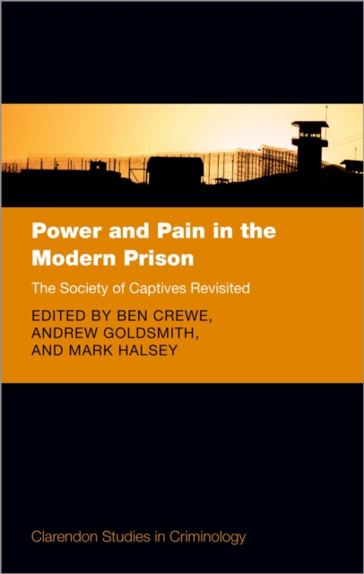 Power and Pain in the Modern Prison : The Society of Captives Revisited, PDF eBook