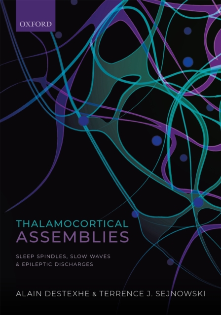 Thalamocortical Assemblies : Sleep spindles, slow waves and epileptic discharges, PDF eBook