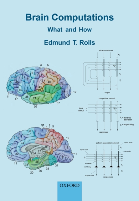 Brain Computations : What and How, PDF eBook