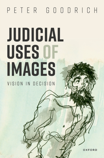 Judicial Uses of Images : Vision in Decision, PDF eBook