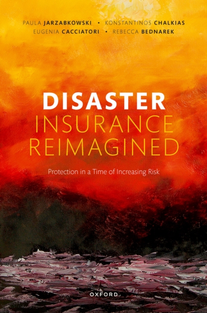 Disaster Insurance Reimagined : Protection in a Time of Increasing Risk, PDF eBook