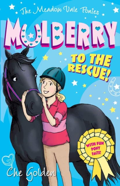 The Meadow Vale Ponies: Mulberry to the Rescue!, Paperback / softback Book