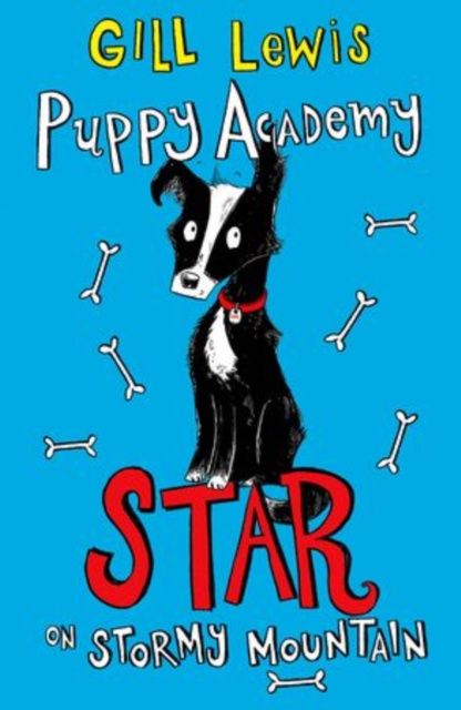 Puppy Academy: Star on Stormy Mountain, Paperback / softback Book