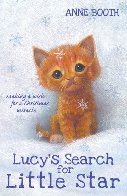 Lucy's Search for Little Star, Paperback / softback Book