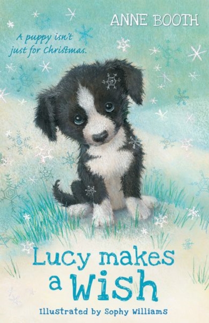 Lucy Makes a Wish, Paperback / softback Book