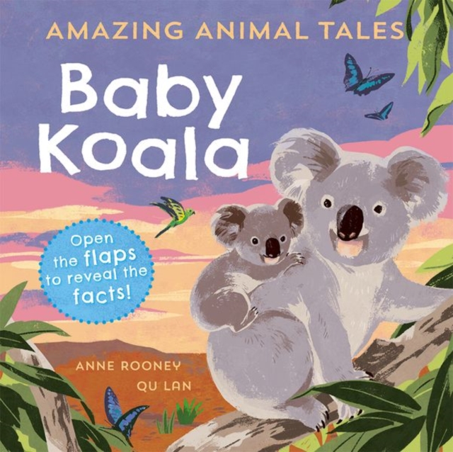 Amazing Animal Tales: Baby Koala, Paperback / softback Book