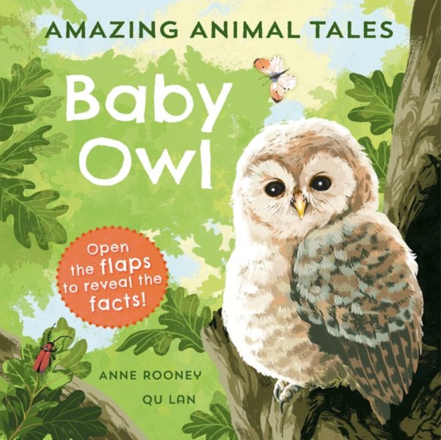Amazing Animal Tales: Baby Owl, Paperback / softback Book