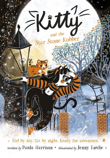 Kitty and the Star Stone Robber, PDF eBook
