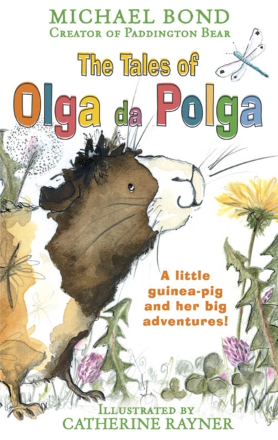 The Tales of Olga da Polga, EPUB eBook