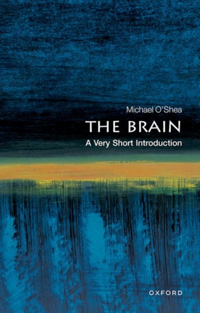 The Brain: A Very Short Introduction, Paperback / softback Book