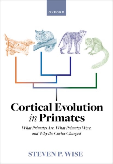 Cortical Evolution in Primates : What Primates Are, What Primates Were, and Why the Cortex Changed, Hardback Book